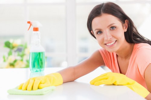Specialist pet stain and odour treatment for carpets in a Tockwell home