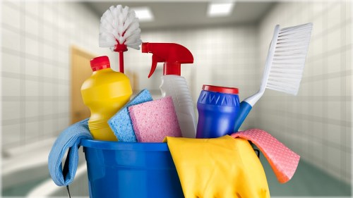 Local cleaning technician assessing a pet stain in a Tockwell property