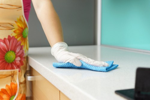 Local rug cleaning process for stain and odour removal