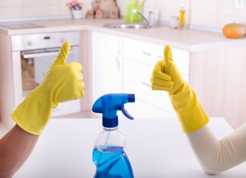 Cleaners Tockwell team introducing a professional cleaning service