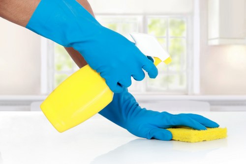 Cleaners Tockwell secure payment screen with card and digital payment icons
