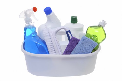 Professional cleaners using PPE during a safe service