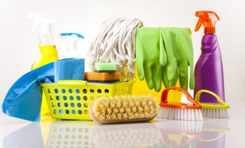 Cleaners Tockwell professional cleaning for homes