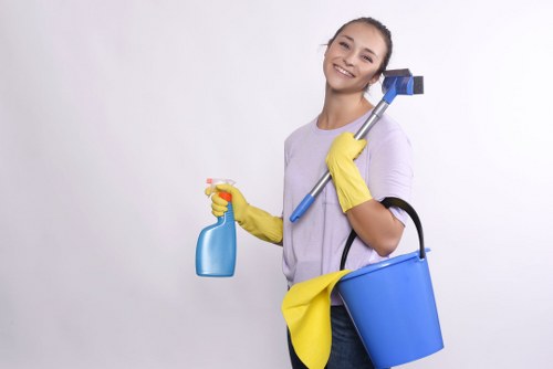Cleaners Tockwell creating fresh and organized environments