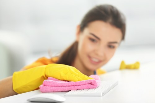 Screen-reader friendly local cleaning service webpage