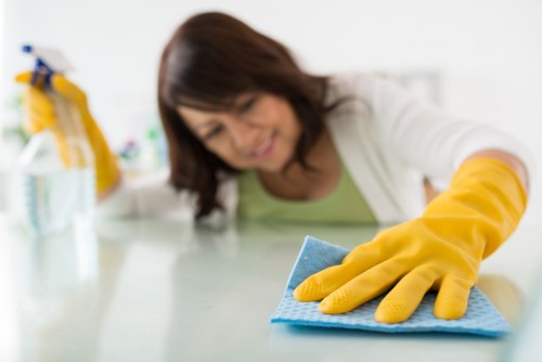 Local cleaner working in a Tockwell family house
