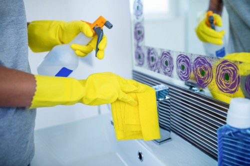 Deep cleaning of a bathroom during a Tockwell rental property handover