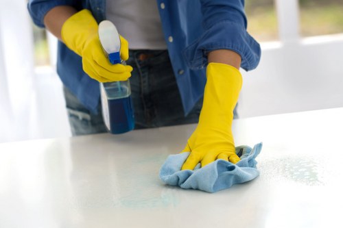Detail-focused cleaning in a home or workplace environment